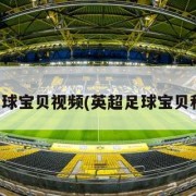 英超足球宝贝视频(英超足球宝贝和球员)