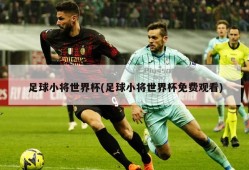 足球小将世界杯(足球小将世界杯免费观看)