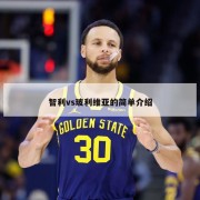 智利vs玻利维亚的简单介绍