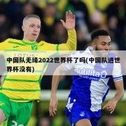 中国队无缘2022世界杯了吗(中国队进世界杯没有)