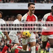 山东体育频道在线直播观看手机版(山东体育频道在线直播观看手机版免费下载)