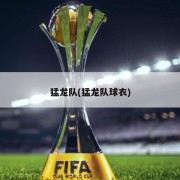 猛龙队(猛龙队球衣)