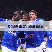 尼尔森数据(尼尔森数据怎么查)