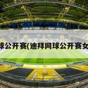 迪拜网球公开赛(迪拜网球公开赛女单冠军)