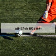 加里-尼尔(加里尼尔三分)