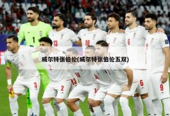 威尔特张伯伦(威尔特张伯伦五双)