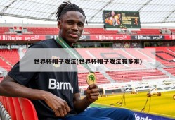 世界杯帽子戏法(世界杯帽子戏法有多难)