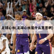 足球心水(足球心水是什么意思啊)