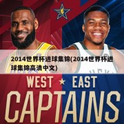 2014世界杯进球集锦(2014世界杯进球集锦高清中文)