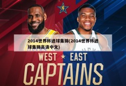 2014世界杯进球集锦(2014世界杯进球集锦高清中文)