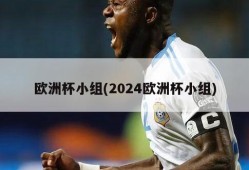 欧洲杯小组(2024欧洲杯小组)