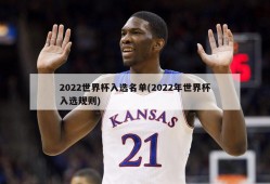 2022世界杯入选名单(2022年世界杯入选规则)