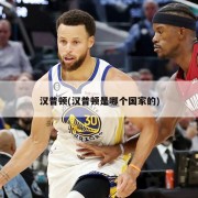 汉普顿(汉普顿是哪个国家的)