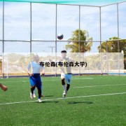布伦森(布伦森大学)