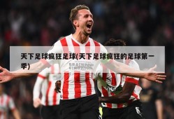 天下足球疯狂足球(天下足球疯狂的足球第一季)