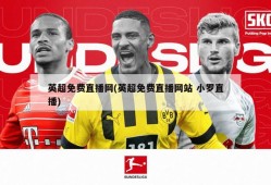 英超免费直播网(英超免费直播网站 小罗直播)
