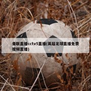 曼联直播cctv5直播(英超足球直播免费视频直播)