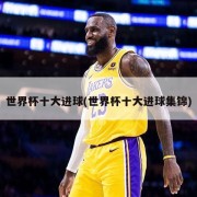 世界杯十大进球(世界杯十大进球集锦)