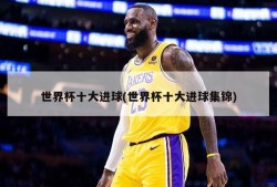 世界杯十大进球(世界杯十大进球集锦)
