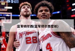 蓝军切尔西(蓝军切尔西壁纸)