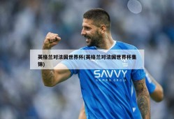 英格兰对法国世界杯(英格兰对法国世界杯集锦)