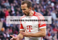 羽毛球世界排名(羽毛球世界排名积分规则)