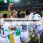 中国田径协会(中国田径协会是什么级别单位)