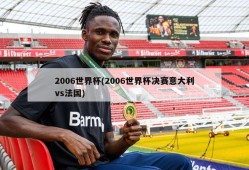 2006世界杯(2006世界杯决赛意大利vs法国)