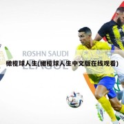 橄榄球人生(橄榄球人生中文版在线观看)