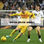 温特沃斯(温特沃斯·米勒图片)