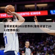 葡萄牙无缘2022世界杯(葡萄牙进了2022世界杯没)