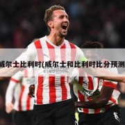 威尔士比利时(威尔士和比利时比分预测)
