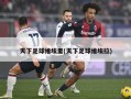 天下足球维埃里(天下足球维埃拉)