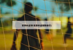 世界杯进球(世界杯进球数排行)