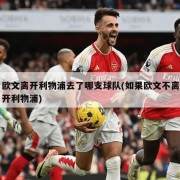 欧文离开利物浦去了哪支球队(如果欧文不离开利物浦)