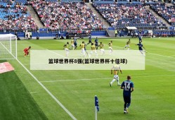 篮球世界杯8强(篮球世界杯十佳球)