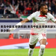 青岛中能足球俱乐部(青岛中能足球俱乐部欠多少债)