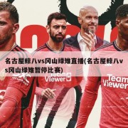 名古屋鲸八vs冈山绿雉直播(名古屋鲸八vs冈山绿雉暂停比赛)