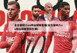 名古屋鲸八vs冈山绿雉直播(名古屋鲸八vs冈山绿雉暂停比赛)