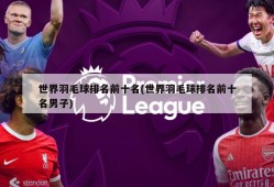 世界羽毛球排名前十名(世界羽毛球排名前十名男子)