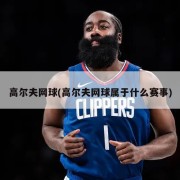 高尔夫网球(高尔夫网球属于什么赛事)