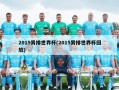 2015男排世界杯(2015男排世界杯回放)