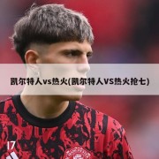 凯尔特人vs热火(凯尔特人VS热火抢七)