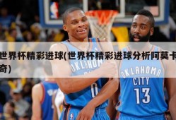 世界杯精彩进球(世界杯精彩进球分析阿莫卡奇)