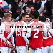 乔治卡尔(乔治卡尔属于什么档次)