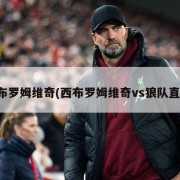 西布罗姆维奇(西布罗姆维奇vs狼队直播)