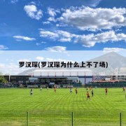 罗汉琛(罗汉琛为什么上不了场)