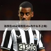 孙悦在nba(孙悦在nba为什么不上场)