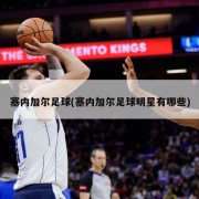 塞内加尔足球(塞内加尔足球明星有哪些)