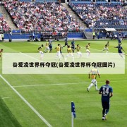 谷爱凌世界杯夺冠(谷爱凌世界杯夺冠图片)